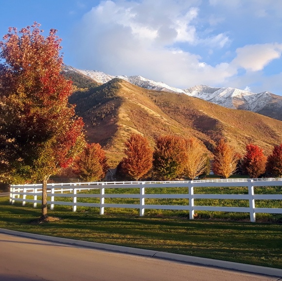 Meet your Posher Lisa - Picture 8 of 11